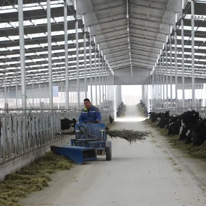 Modular Steel Structure Poultry Facility with Adjustable Space for Sustainable Goose Farm Prefabricated Chicken Farm Steel Structure Construction Design Farm