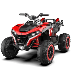CAN-AM Kids Electric Ride-On Car 24V