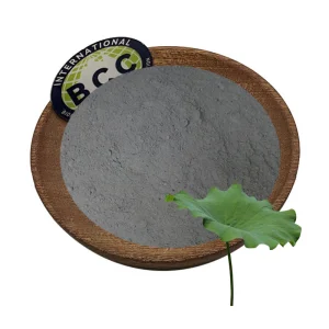 Lotus Leaf Extract Powder