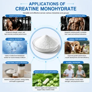WMK High Purity Micronized Creatine Monohydrate