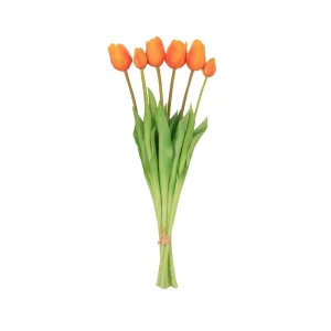 Custom Color Tulip