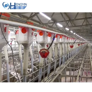 Automatic Pig Feeding System