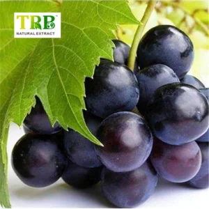 Wholesale Vitis Vinifera Extract  Supplier, Suppliers