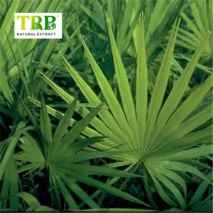 Wholesale Saw Palmetto Extract