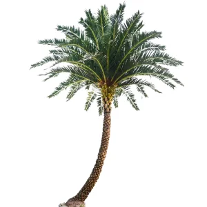 Artificial Date Palm Tree