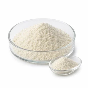 Lactobacillus Casei Probiotic
