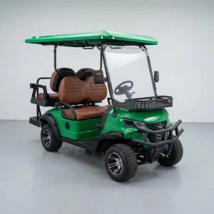 Street Legal Electric Golf Cart