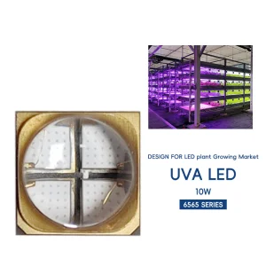 UV Curing Led Lamp Module