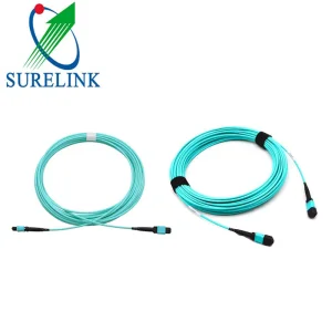 1fiber 2fiber MPO to MPO Fiber Patch Cord for Data Center MPO Mpt Fibra Patch Cable