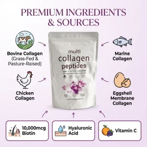 OEM ODM Hydrolyzed Bovine Collagen Peptides Powder Sugar Free Protein for Hair Growth and Skin Beauty Wholesale