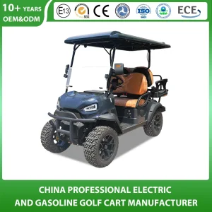 Shining Brand Customized 22 Electric Buggy Golf Cart