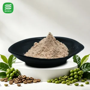 Extrato de Grão de Café Verde Natural e Puro de Clorogênico Direto da Fábrica