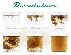 Soluble Humic Acid Fertilizer