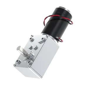 Worm Gear Reducer Motor