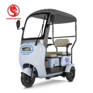 Wholesale ASIAN DRAGON Sky-Blue Canopy Tricycle