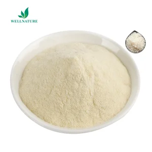 Factory Sale Vegan Protein Organic Protein Powder Rice Protein Powder