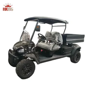 Farm-specific 2 Seater Electric Golf Cart with Cargo Bucket 48V Battery