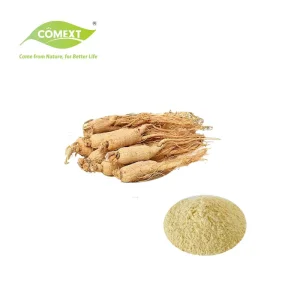 Extrato de Raiz de Panax Ginseng Comext 10% Ginsenosídeos HPLC Extrato de Panax Ginseng C. a. Mey