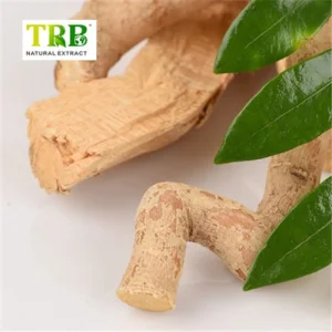China Eurycoma Extract Manufacturer, Factories