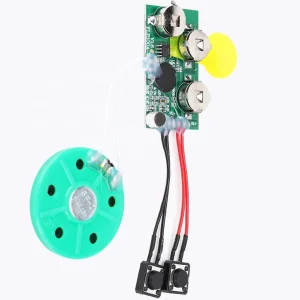 Manila OEM Plastic Button Sound Module