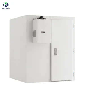 Freezer Cold Room Chambre Froide Industrial Blast Freezer Walkin Cooler Cold Storage Room Price Fresh-Keeping Freezer Fruit