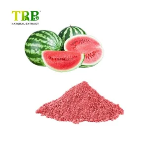 China Watermelon Powder Manufacturers