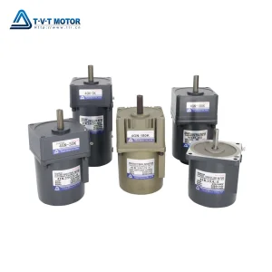 AC Gear Motor