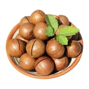 Melhores Nozes de Macadâmia Torradas Sabor Original Nozes de Macadâmia Baratas à Venda