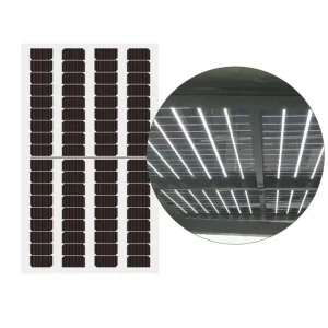 Raytech 40% Transparent Solar Panel 215W 220W 360W 370W BIPV for Sunroomsyatem