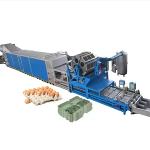 Linha de Produção de Cartões de Ovos Industriais para Embalagem de Alimentos