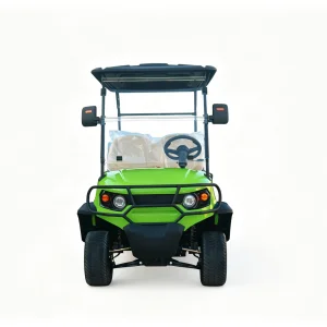 6 Seater Green Electric Golf Cart