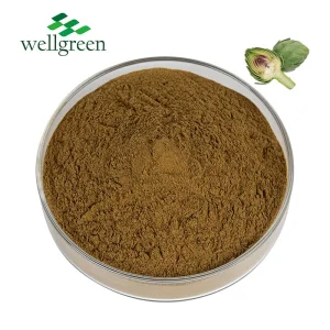 Pó de Extrato Herbal Natural 10: 1 20: 1 Extrato de Alcachofra