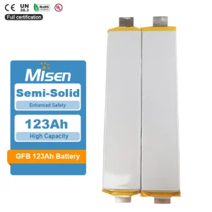 Frost-resistant Lithium-Ion Pouch Cell