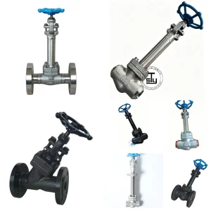 LNG Cryogenic Valve