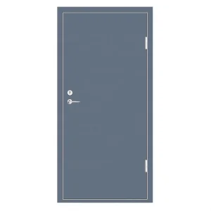 Flush Design Fireproof Steel Door School Classroom Fire Rated Smoke Control Doors with Ral Colors