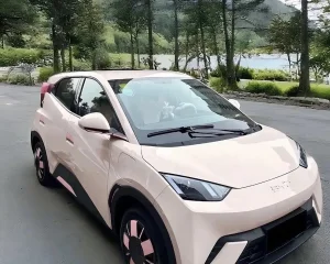 Coche Mini Byd Seagull, Conducción Autónoma, Vehículo de Nueva Energía, Coche Rosa, Decoraciones Personalizadas para Coche