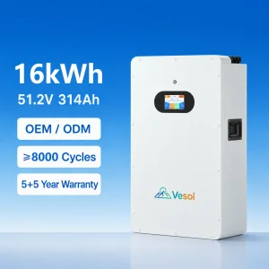 16kWh 51.2V 314Ah LiFePO4 Wall Mounted Solar Battery Residential Energy Storage System Smart BMS CAN RS485 OEM ODM 8000 Cycles
