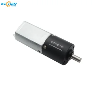 20mm Planetary DC Gear Motor 12V 100rpm 24V 300rpm 180sh Small DC Gear Motor for Infusion Pump