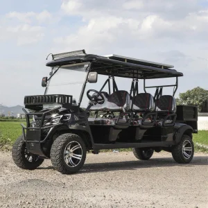 Luxury Antique Electric Golf Cart
