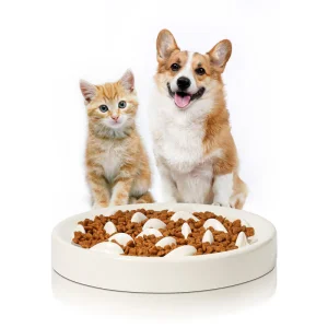 Anti-Choking Ceramic Slow Eating Pet Bowl with Cute Whale Design