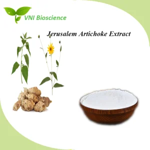 Certificado Kosher Halal Inulina Natural Extrato de Alcachofra de Jerusalém