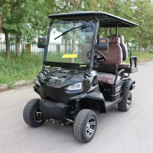 Heavy Duty 4x4 Electric Golf Cart for Rough Terrain