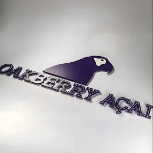 CE Certification Premium Rose Gold Stainless Steel Backlit House Numbers for Home Manufacturer, Products
