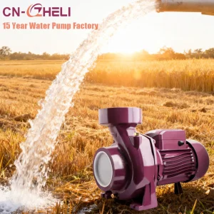 Heavy Duty Corrosion Resistant Liquid Transfer Pump for Industrial Water Supply