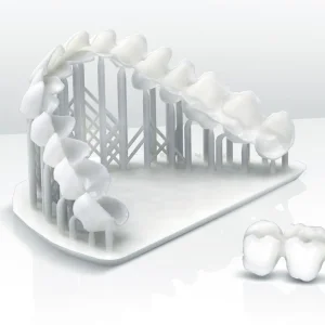 SLA Resin 3D Printing Custom Dental Molds OEM High Quality Orthodontic Models