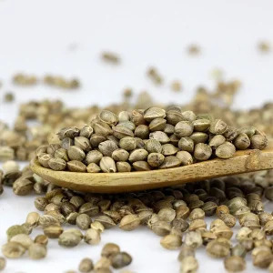 Protein Hemp Seed Extract Powder