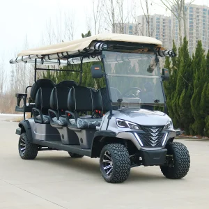 Luxurious Golf Cart Chile
