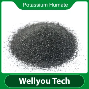 Water Soluble Leonardite Source Potassium Humate Micronutrient Fertilizer Wellyou Tech