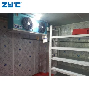 Walk in Cold Room Storage Refrigeration 10 to 100 Ton Blast Freezer Price for Meat Fish Chicken Onion Vegetable Fruit