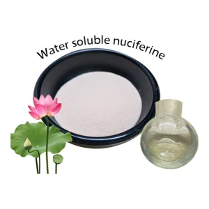 Lotus Leaf Extract